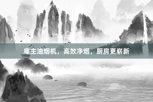 雇主油烟机，高效净烟，厨房更崭新